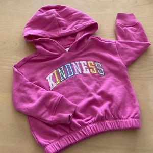 Baby Gap toddler Hoodie sweatshirt size 2T